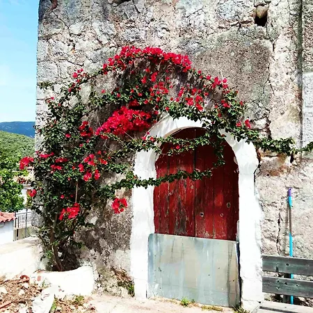 Lily Home_lefkada ~ Private * Kondaraina